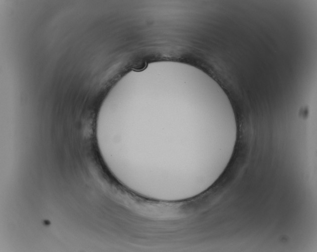 X0000111910032200908171312