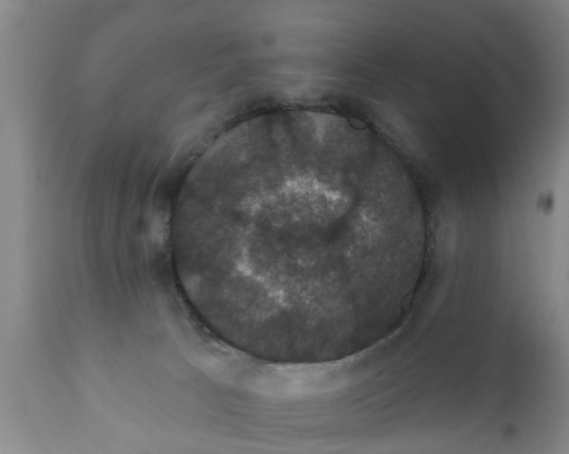 X0000111910033200908171312