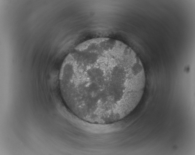 X0000111910034200908171312