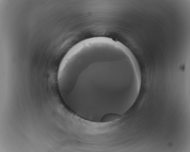 X0000111910035200908171312