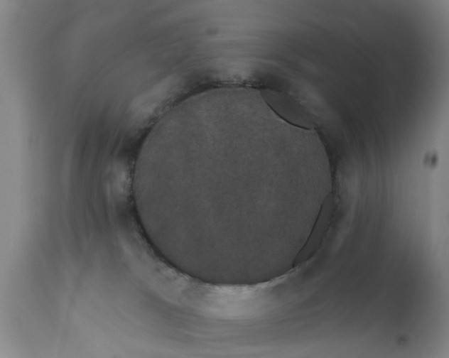 X0000111910037200908171312