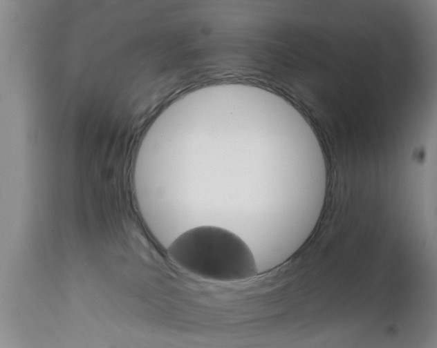 X0000111910039200908171312