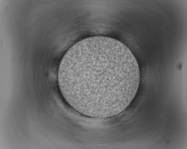 X0000111910040200908171312