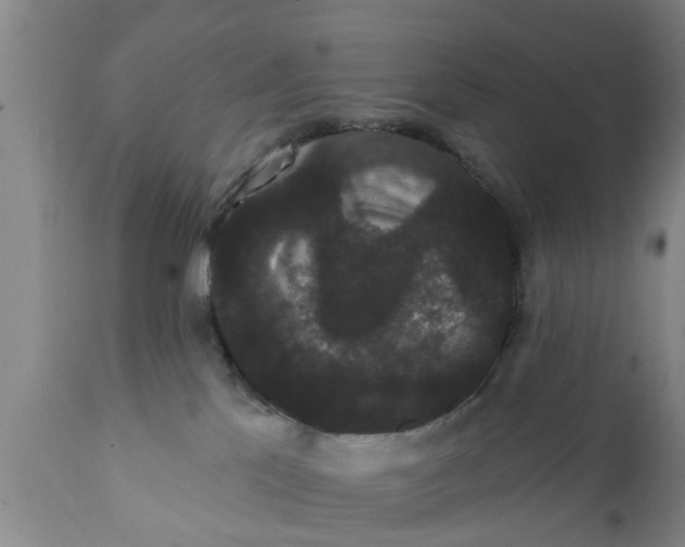 X0000111910041200908171312