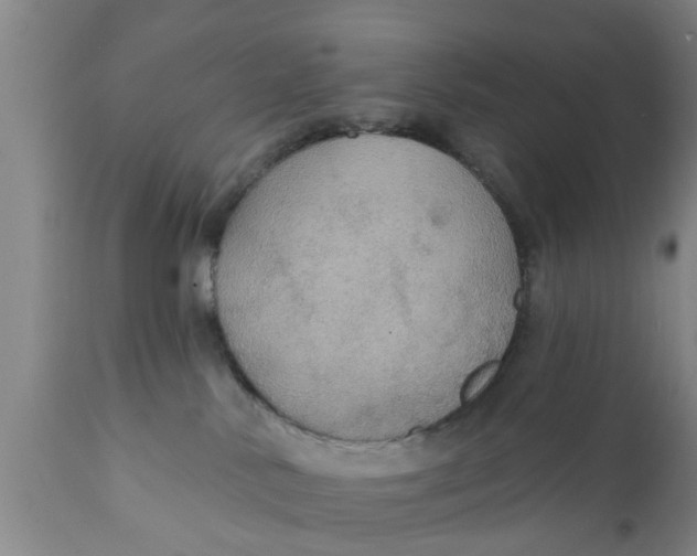 X0000111910042200908171312