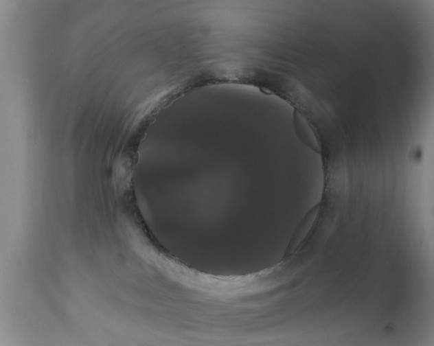 X0000111910043200908171312