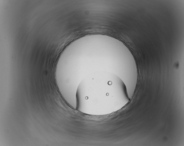 X0000111910045200908171312