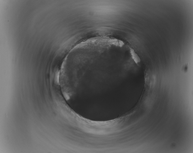X0000111910046200908171312