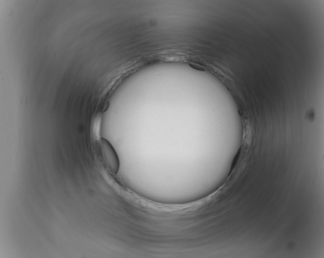 X0000111910047200908171312
