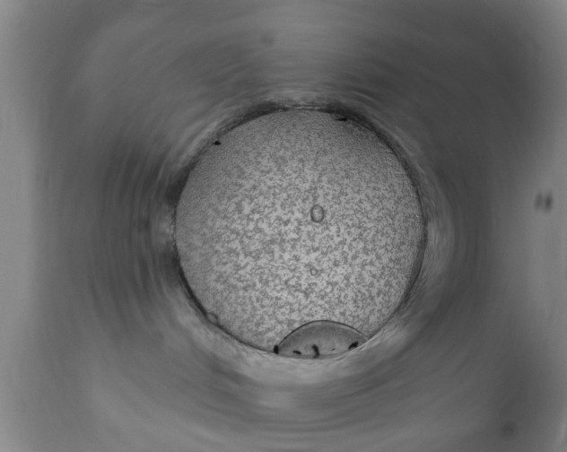 X0000111910048200908171312