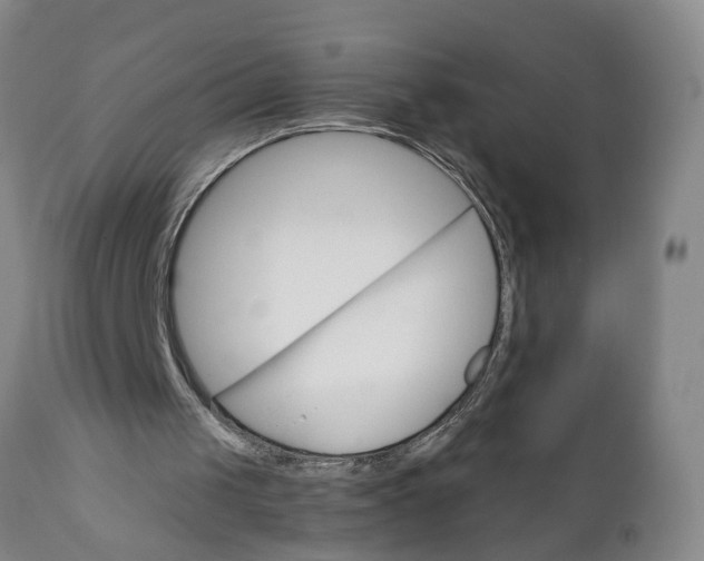 X0000111910049200908171311