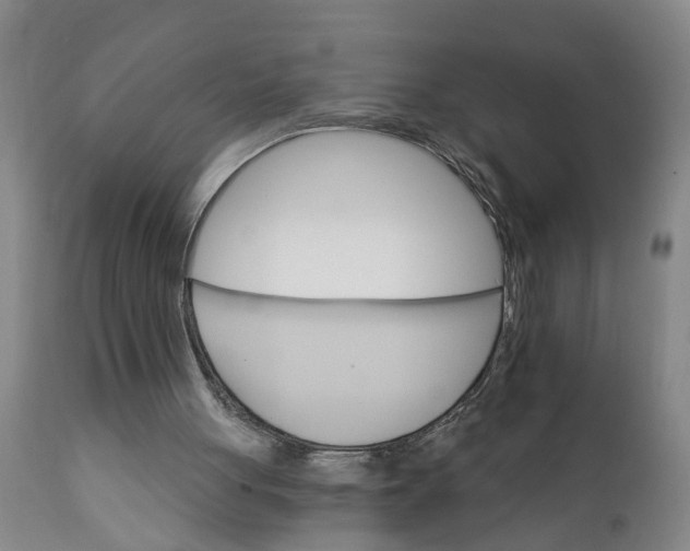 X0000111910051200908171311