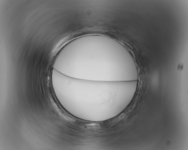 X0000111910053200908171311