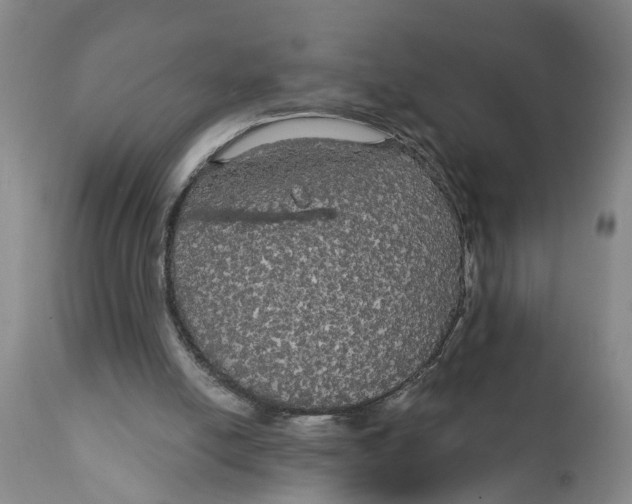 X0000111910054200908171311