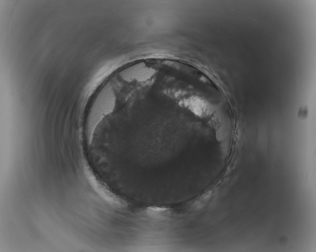 X0000111910055200908171311