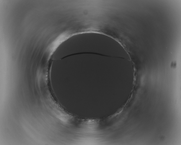 X0000111910056200908171311