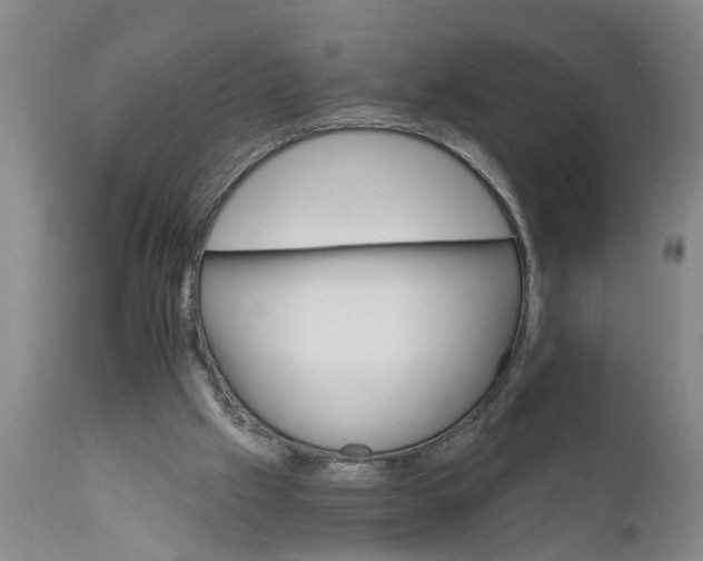 X0000111910057200908171311