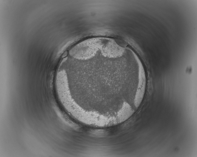 X0000111910058200908171311