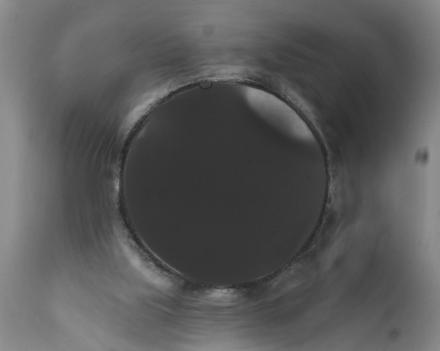 X0000111910059200908171311