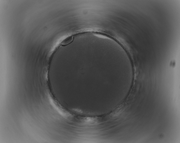 X0000111910060200908171311