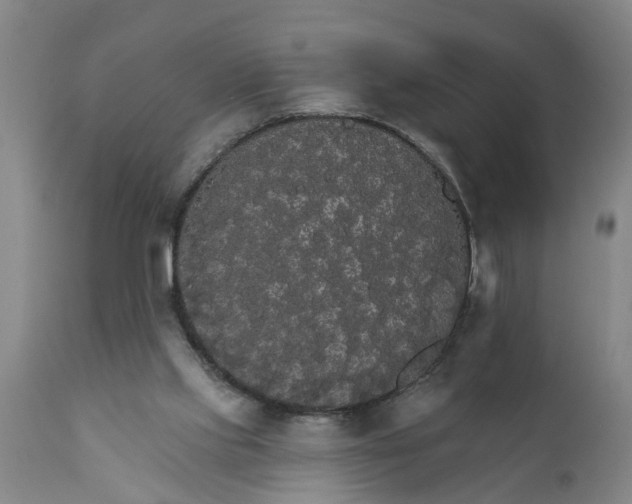 X0000111910061200908171311
