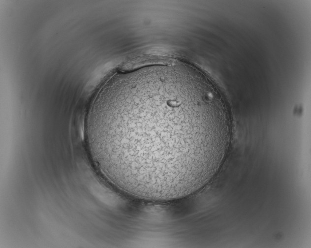 X0000111910062200908171311