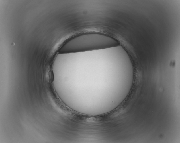 X0000111910064200908171311