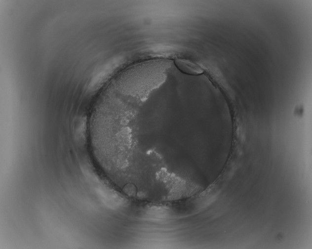 X0000111910066200908171311