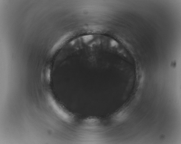 X0000111910067200908171311