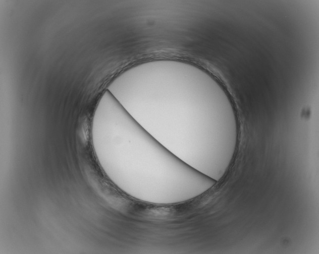 X0000111910069200908171311