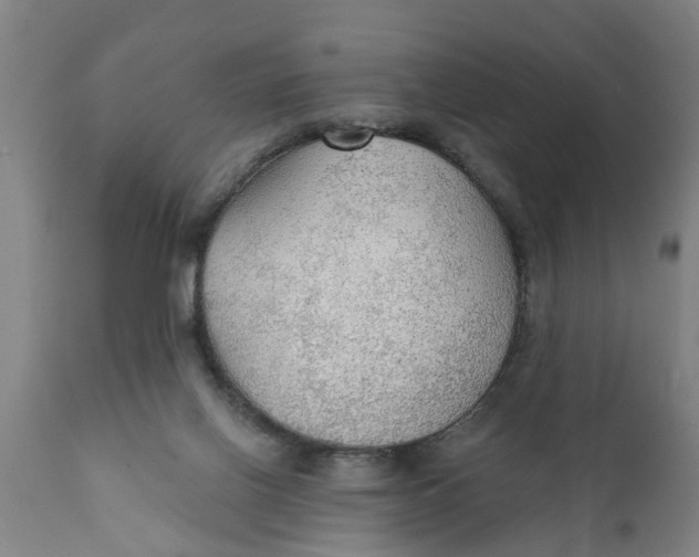X0000111910070200908171311
