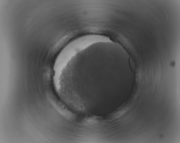 X0000111910072200908171311