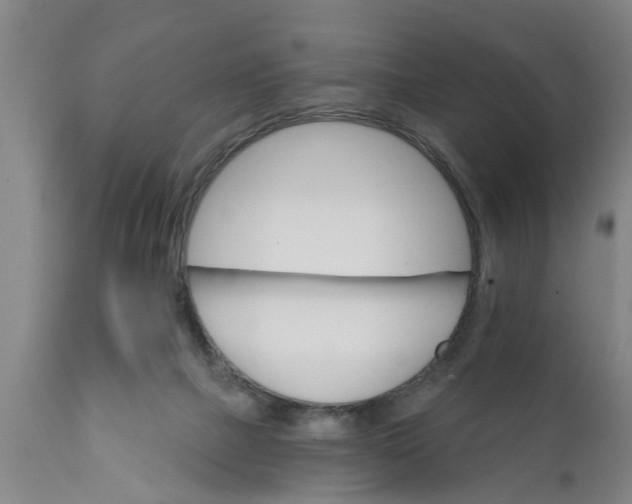 X0000111910073200908171311