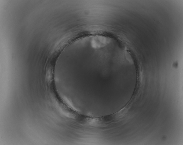 X0000111910074200908171311