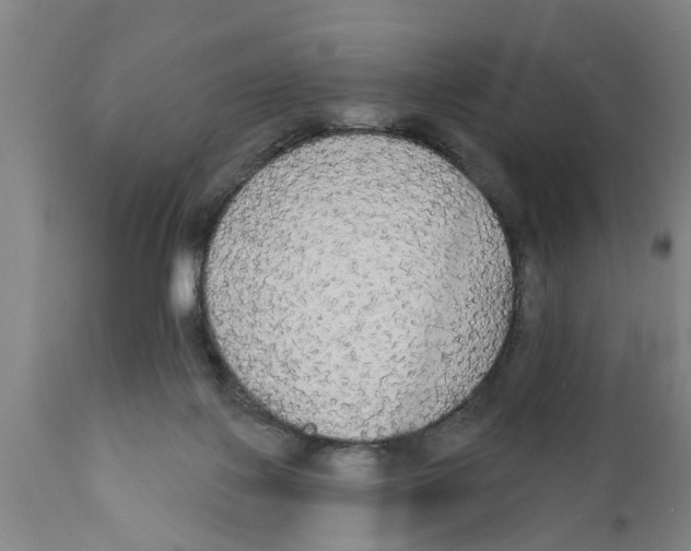 X0000111910075200908171311