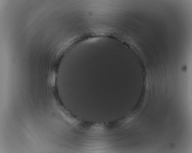 X0000111910076200908171311