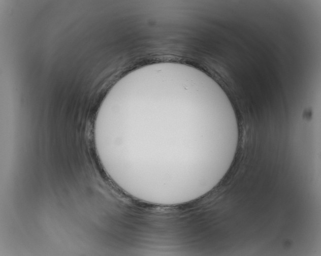 X0000111910077200908171311