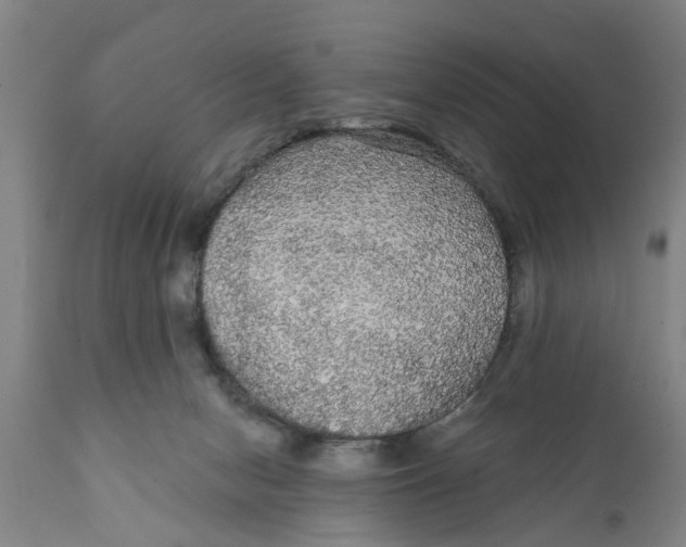 X0000111910078200908171311