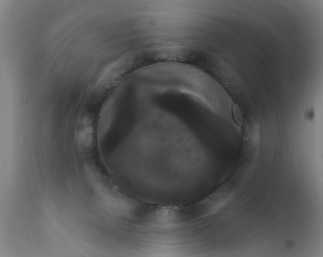 X0000111910080200908171311