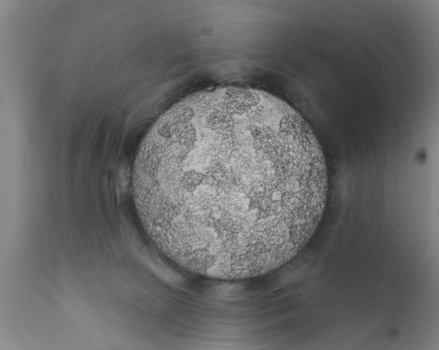 X0000111910081200908171311