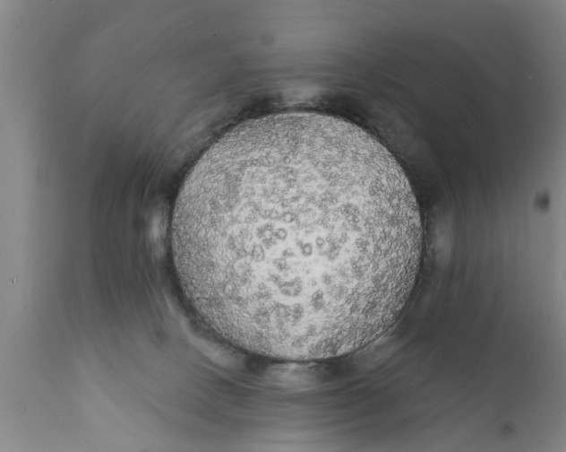 X0000111910082200908171311