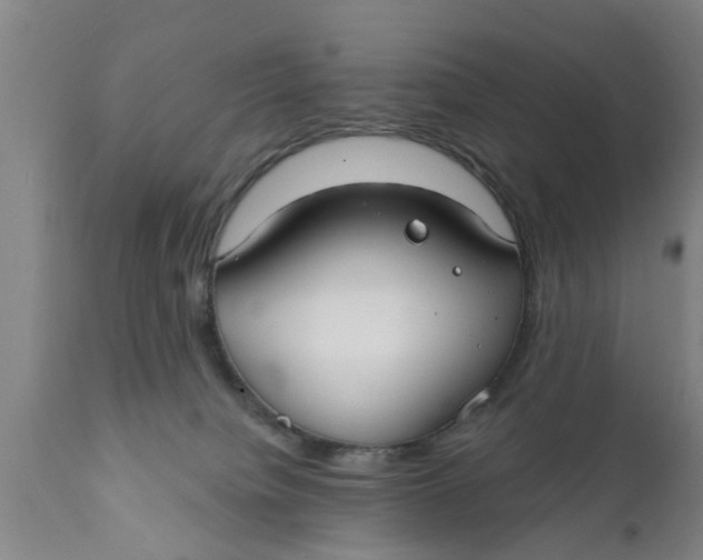 X0000111910084200908171311