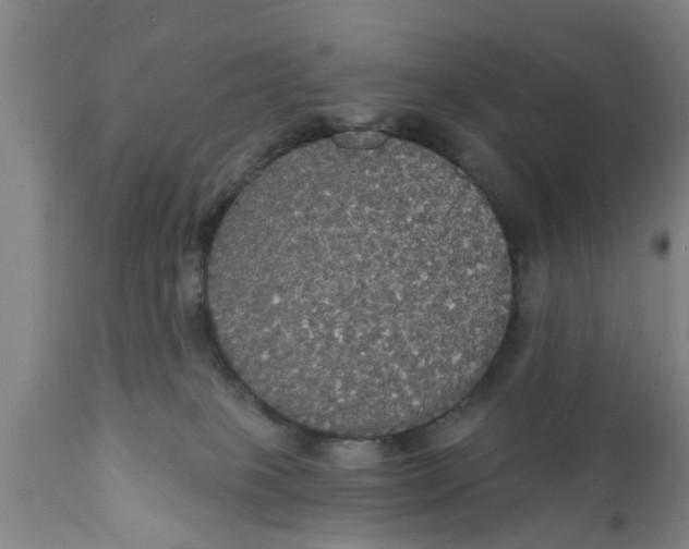 X0000111910085200908171311