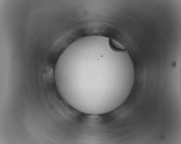X0000111910087200908171311