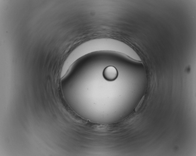 X0000111910088200908171311