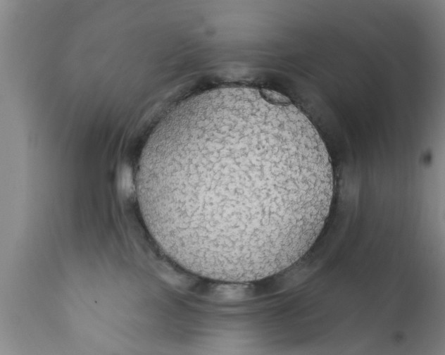X0000111910089200908171311