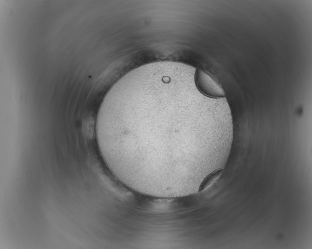 X0000111910090200908171311