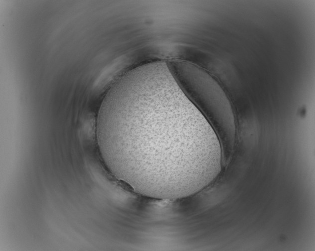 X0000111910092200908171311