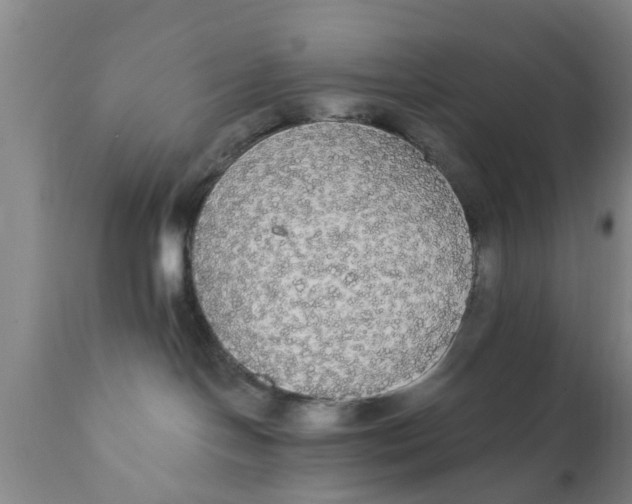 X0000111910094200908171312