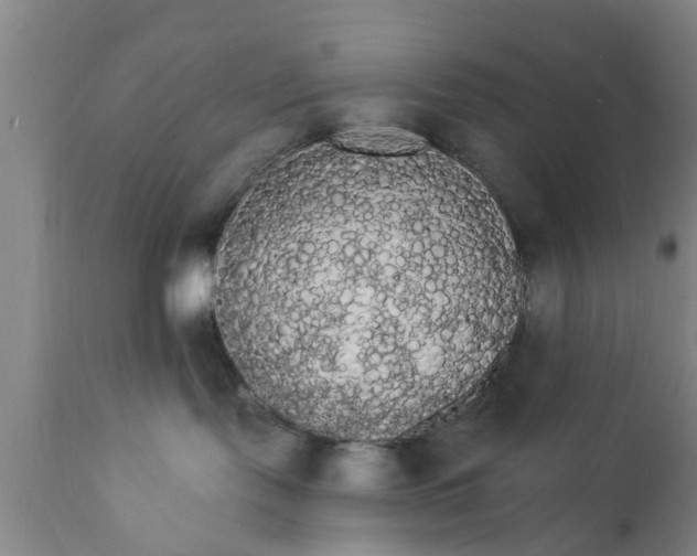 X0000111910095200908171312